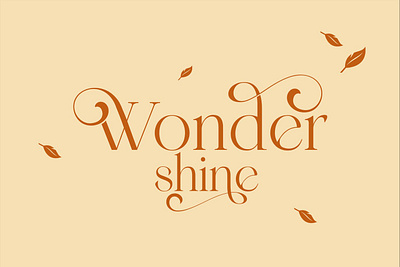 Wondershine - Premium Font branding design display elegant fonts font design fonts fonts collection logo logo fonts modern fonts premium premium font premium fonts roman fonts sans serif script fonts serif serif font serif fonts simple