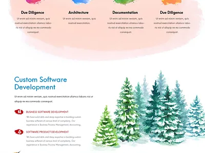 Birchsoft design illustration ui ux