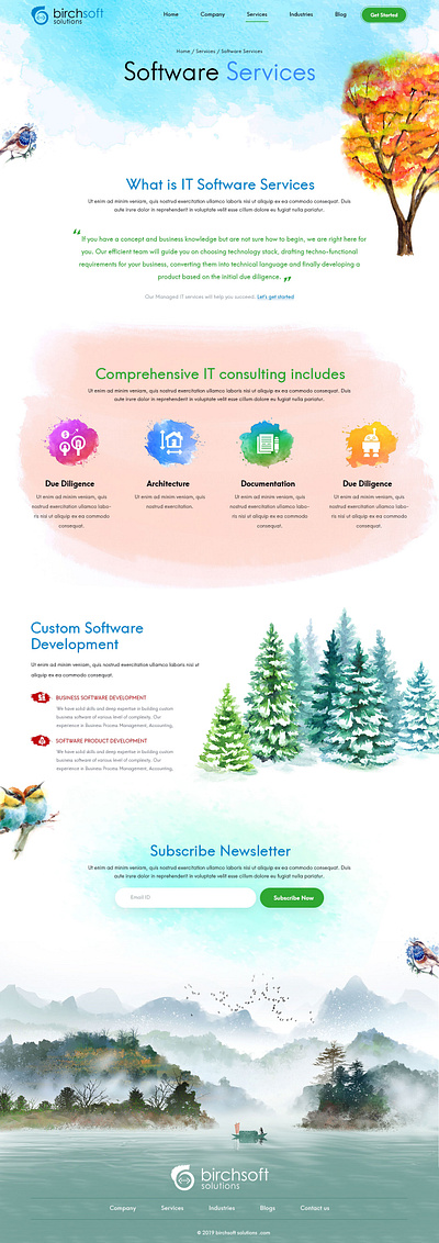 Birchsoft design illustration ui ux