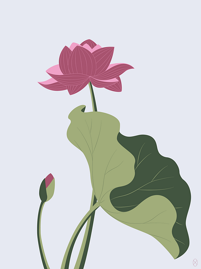 Lotus art design digital illustration digitalart illustration vector