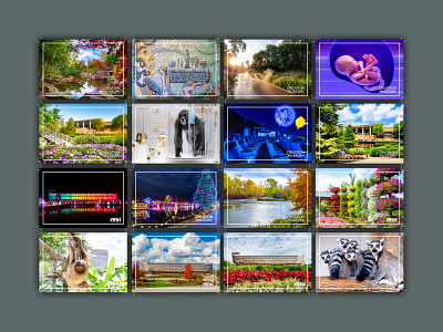 Creation Museum and Ark Encounter Attractions Postcard Series branding design graphic design postcard print