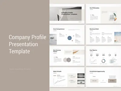 Company Profile Presentation Template branding companypresentation companyprofile design graphic design powerpointdesign presentation