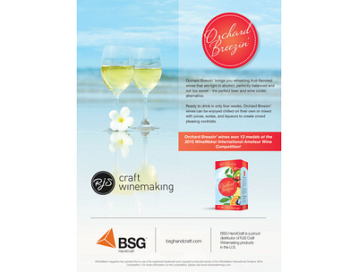 BSG Ad for Winemaker Magazine collateral design print