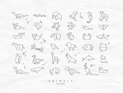 Animals Origami shark