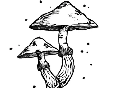 Mushrooms 🌲🍄 affinitydesigner design drawing halloween icon illustration inktober sketch