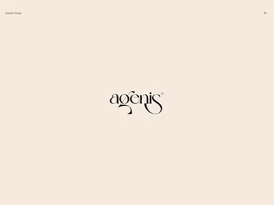 Agenis Logotype bags branding design fashion font logo logotype typeface typography vector