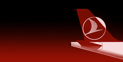 Turkish Airlines airline digital flight folioart illustration karolis strautniekas texture travel