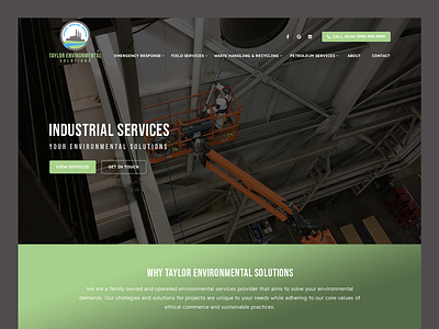 Taylor Environmental Solutions // Web Design environmental environmental web design industrial industrial service web design waste management