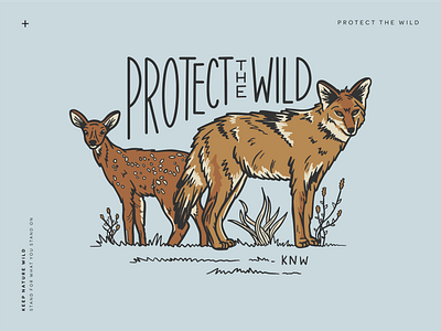 Protect the Wild animal animals blue brown deer design illustration nature nurture nature outdoors outside procreate protect wild wildlife wolf