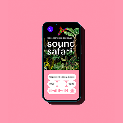 mobile bootcamp sound safari branding design graphic design web