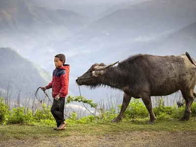 Best Friend 3d animation app art branding design graphic design icon illustration logo motion graphics ui ux vector