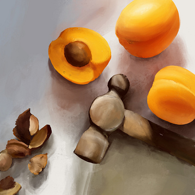 Apricots design illustration procreate sketch sketchbook