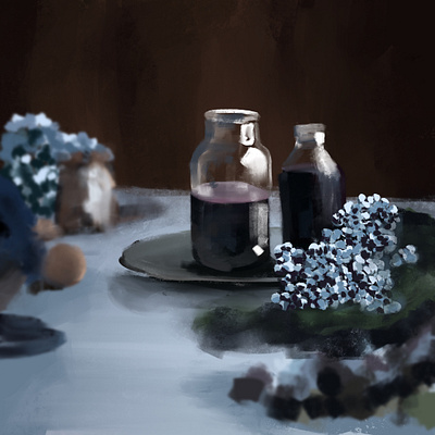 Elderberry Juice design illustration procreate sketch sketchbook