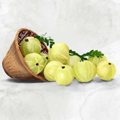 Indian Gooseberry design illustration procreate sketch sketchbook