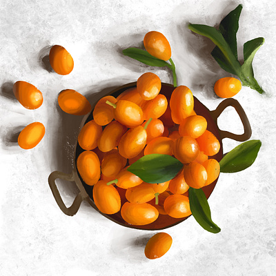 Kumquat design illustration procreate sketch sketchbook
