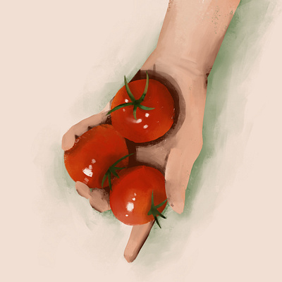 Tomatoes design illustration procreate sketch sketchbook