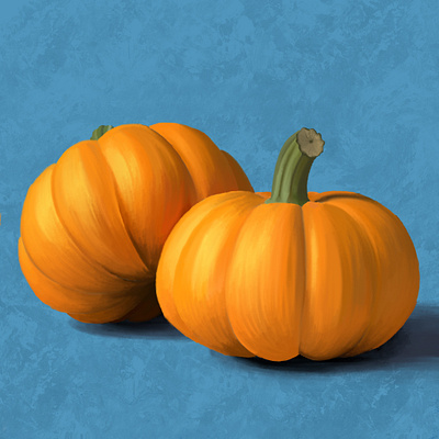 Pumpkins design illustration procreate sketch sketchbook