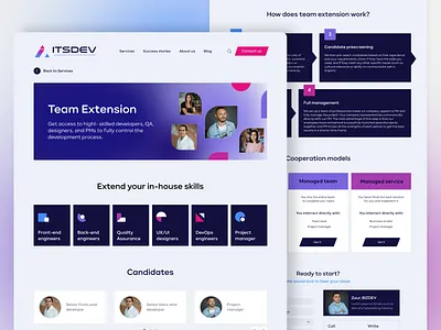 ITSDev branding design typography ui web