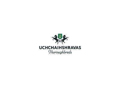 Elegant brand identity brand design brand identity branding design graphic design horse logo mark pattern thoroughbreds vector