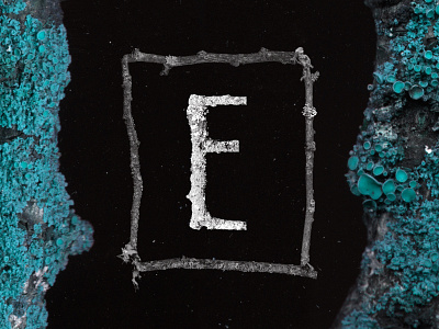 Lichen collage illustration lettering typography