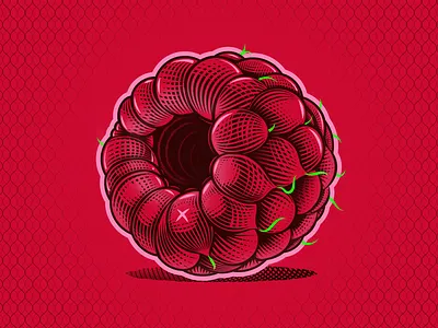 Raspberry Vector raspberry vector