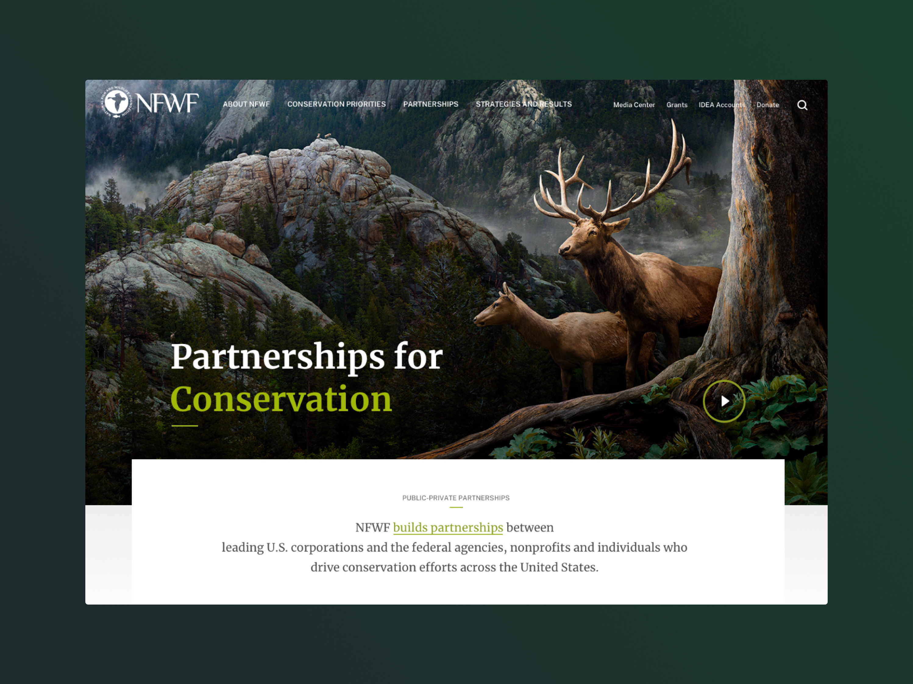 Example of National Fish and Wildlife Foundation