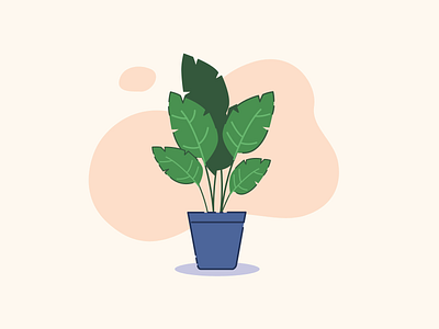 A friendly house plant - Rive animation design graphic design illustration motion motion design motion graphics plants rive