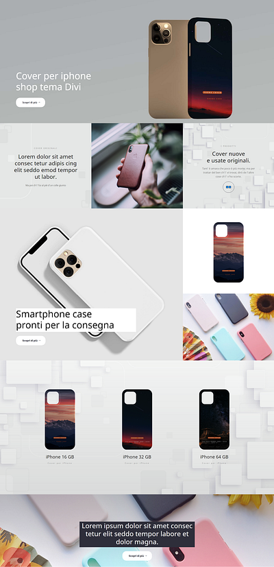 E-Commerce Divi Layout Case Shop branding design divi web wordpress wordpress blog wordpress design