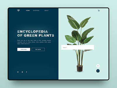ENCYCLOPEDIAOFGREENPLANTS ui