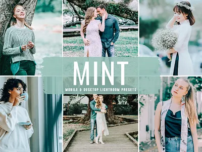 Mint Mobile & Desktop Lightroom Presets travel presets