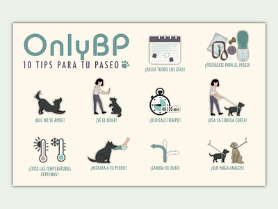 OnlyBP Infographic branding design graphic design illustration illustrator infographic infographics logo minimal photoshop vector