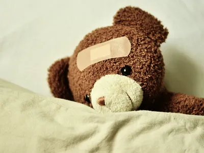 Friendly Bear app art branding design icon illustration logo ui ux vector