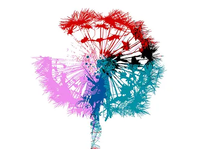 Dandelion dandelion flower graphic design illustration