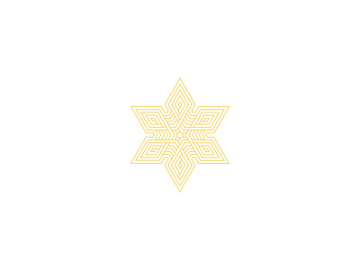 Star Branding branding flower graphic design illustration logo design star vector