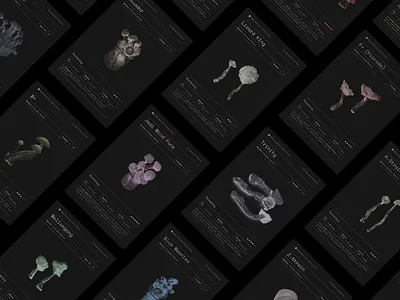 The Magic Mushroom Trading Card Collection (NFT) design graphic design magic minimal mushrooms nft trading cards