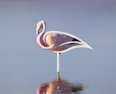 flamingo logo awesome branding brandmark clean corporate branding design flamingo golden ratio grid great design grid logo illustration line art logo logo creator logodesign modern typography ui ux vector