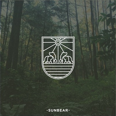 SUNBEAR 3d animation branding design graphic design illustration logo motion graphics ui vector