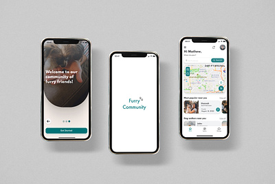 Furry Community Case Study case study product design ui ux