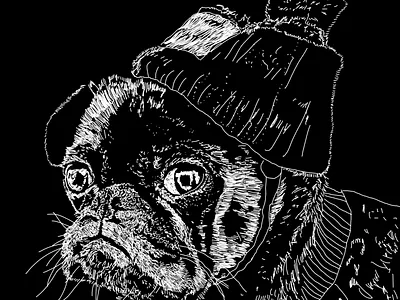 Mr puggy art design drawing illustration illustrator photoshop