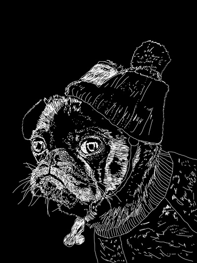 Mr puggy art design drawing illustration illustrator photoshop