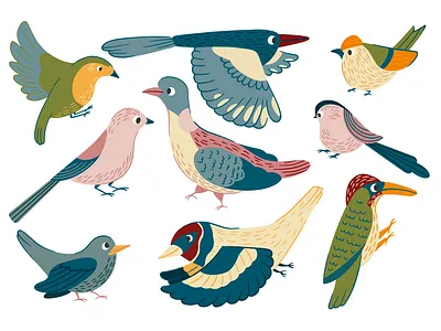 English garden birds birds cute english birds garden illustration magpie vector