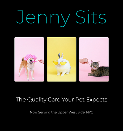 Petsitting web project bright candy theme cat dark background design dog funny animals minimal pets photo rabbit ui web