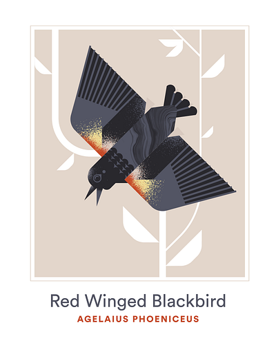 Red Winged Blackbird animal bird black blackbird character design flight geometric grain illustration texture vector