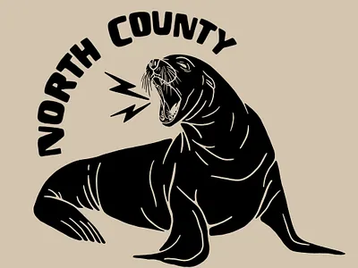 North County San Diego california illustration san diego sea lion seal wildlife