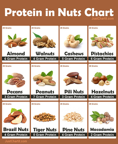 Protein in Nuts dry fruits flyer justchartit nuts protein