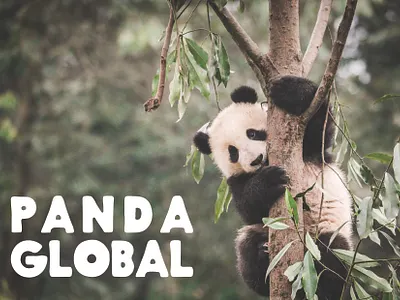 PANDA GLOBAL - panda logo brand branding dailylogochallenge design graphic design icon illustration logo