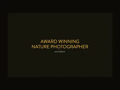 WIP: Photoscoper 3d animation branding design logo motion graphics photography portfolio ui