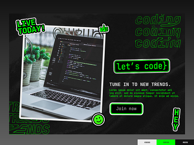 Developers Landing Page code color palette design geek illustration it landing page live new programming stream ui uiux web website