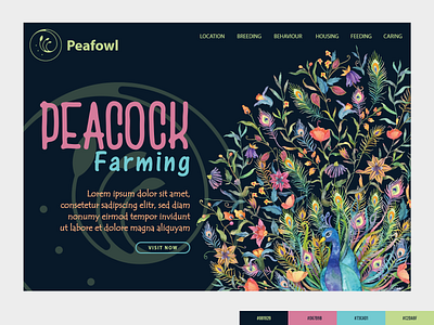 Peacock Farming Landing Page animal color palette design farm farming illustration landing page new peacock ui uiux website