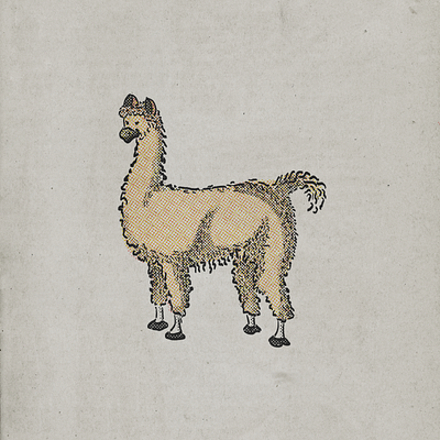 Лама animal illustration lama sketch